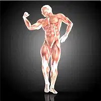 Kas Gerilimini Azaltma