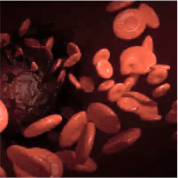 Dolaşımı Artırma