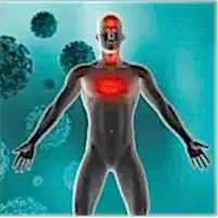 Bağışıklık Sistemini Güçlendirme